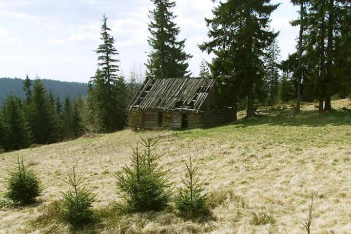 General 44 of 52