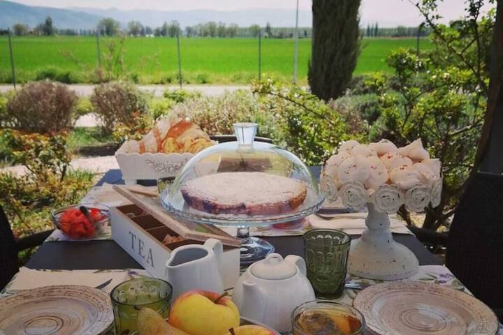 Breakfast/Coffee Service 58 of 91