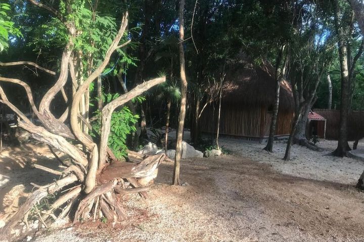 Property Grounds 21 of 26
