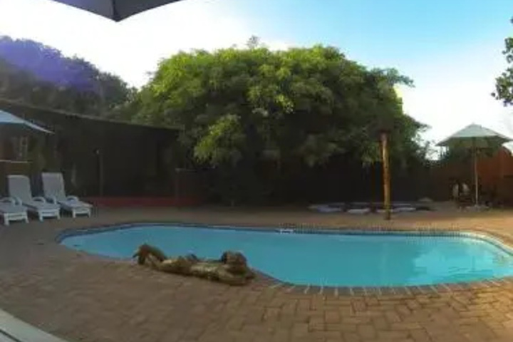 Pool 3 of 11