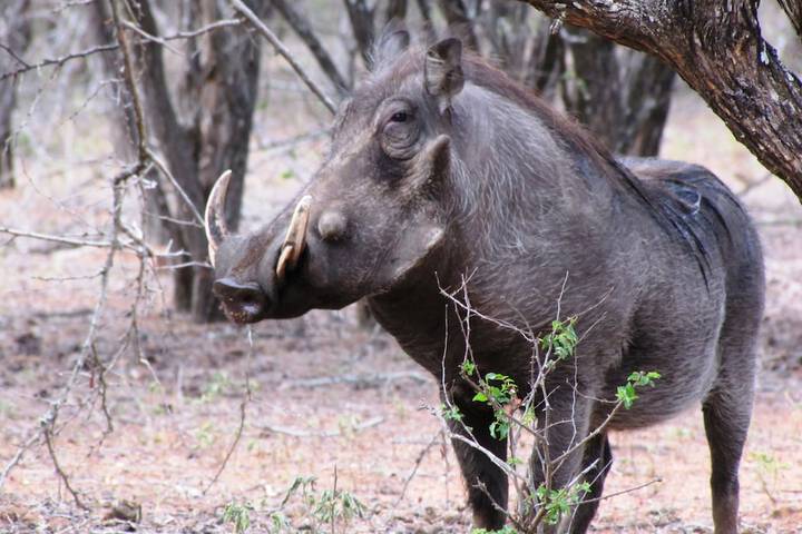 Hotel 49 of 56