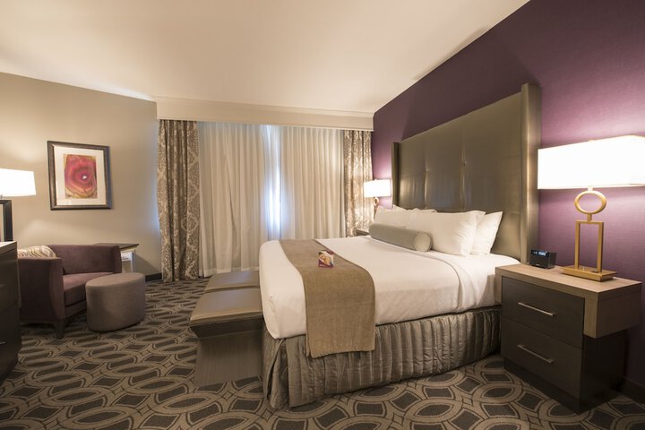Standard King Bed Accessible (8 of 24)