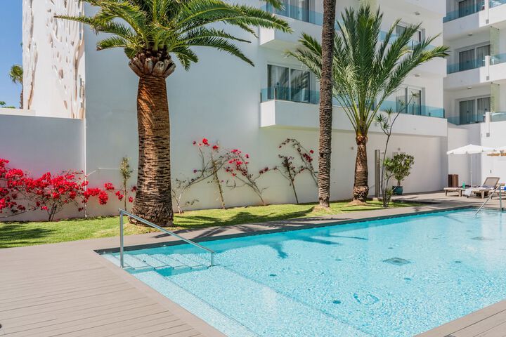Hotel with Pool