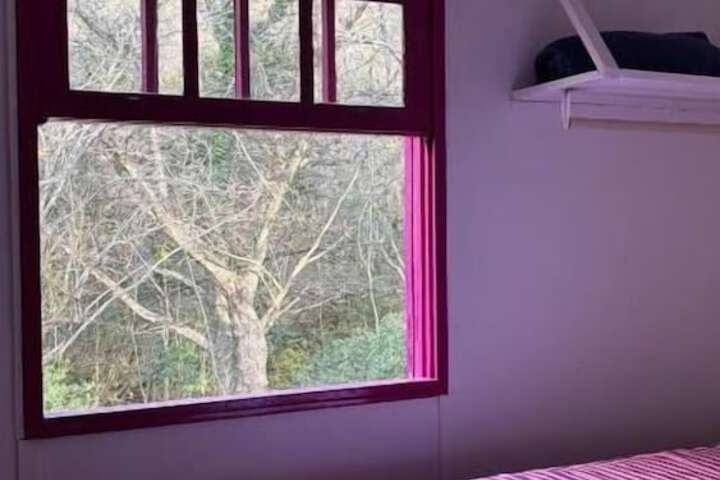 Room 15 of 60
