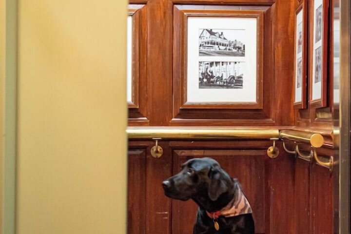 Pet Friendly 41 of 51