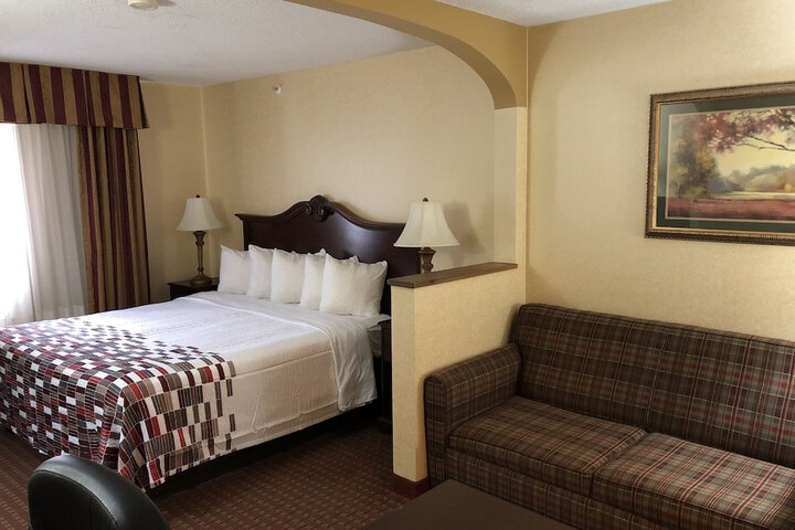 Standard Suite 1 King Bed with Sofa Bed (1 of 6)