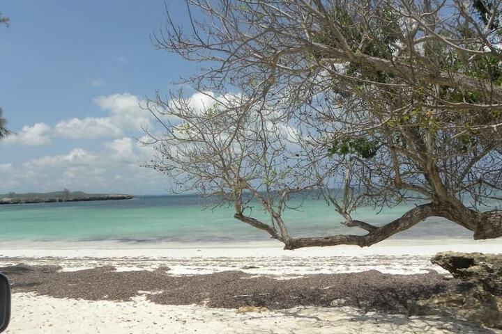 Beach 47 of 54