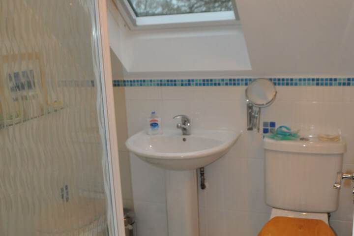 Room 20 of 37