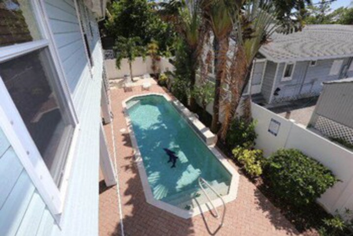 Pool 10 of 21