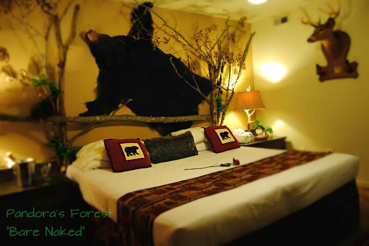 Room 14 of 51