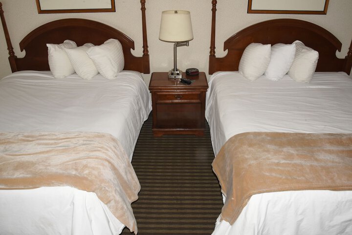 Room 6 of 34