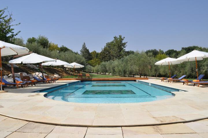 Pool 38 of 61