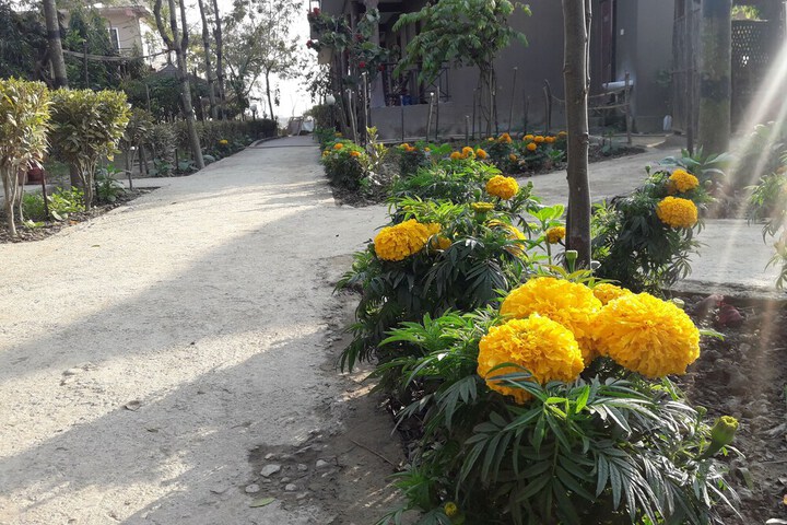 Terrace/Patio 59 of 63