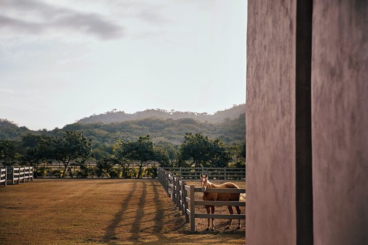 Hotel 93 of 100
