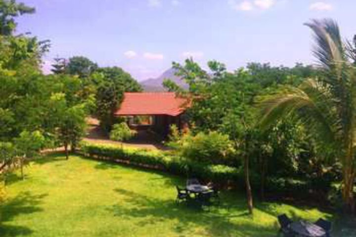Property Grounds 13 of 16