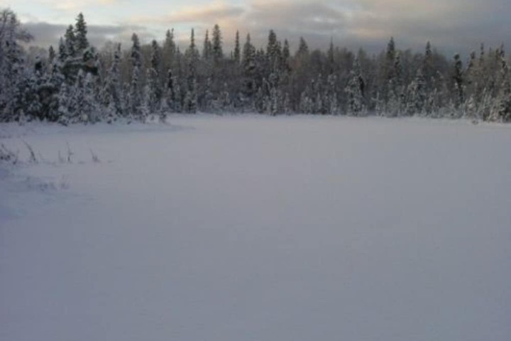 Property Grounds 23 of 36