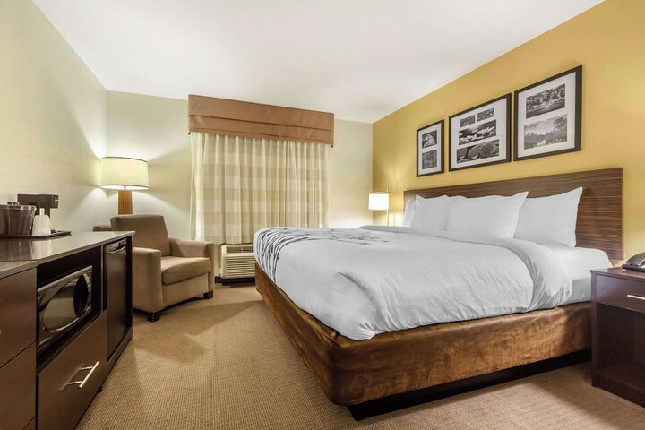 1 King Bed Accessible (10 of 18)