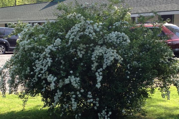 Property Grounds 24 of 37