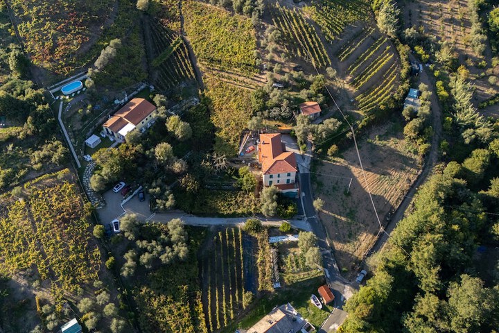 Agriturismo La Collina Verde