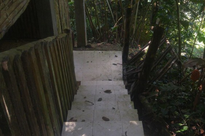 Property Grounds 13 of 17