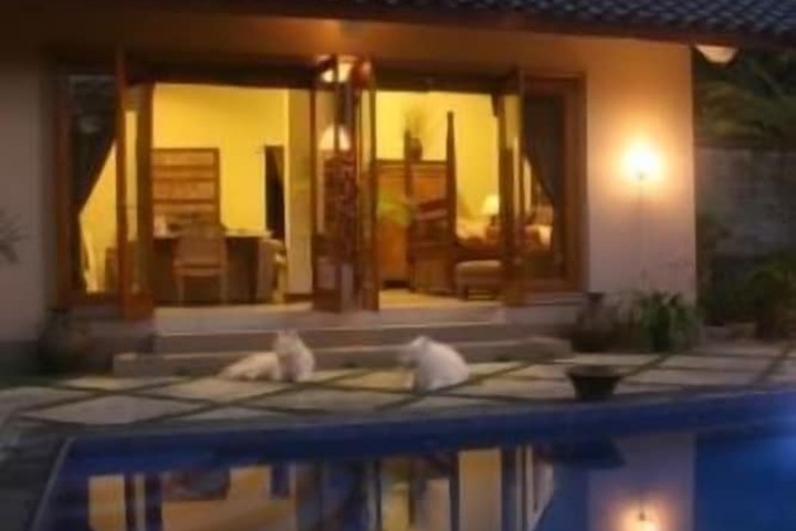 Hotel Pool