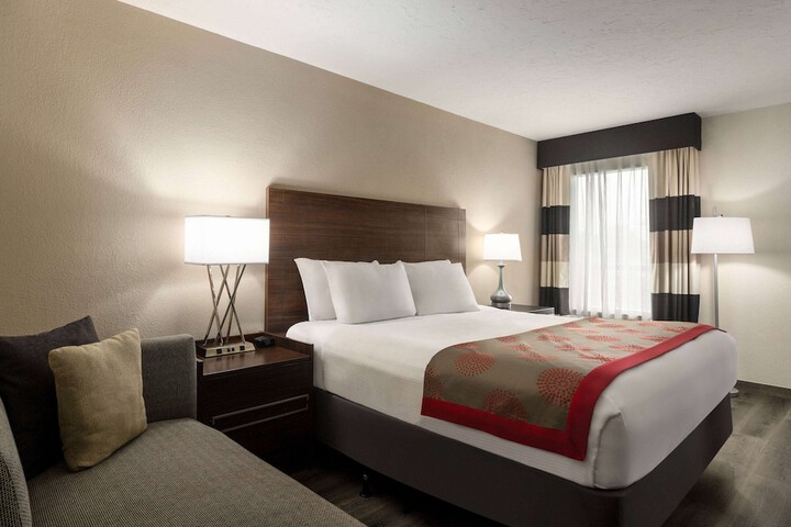 1 King Bed City View (4 of 14)