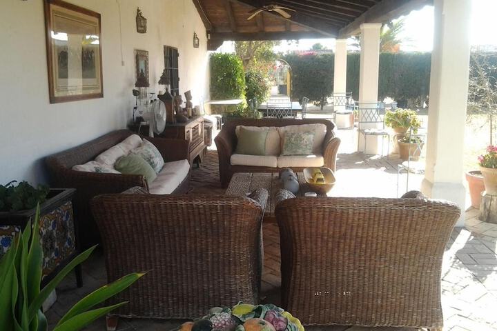 Terrace/Patio 12 of 45