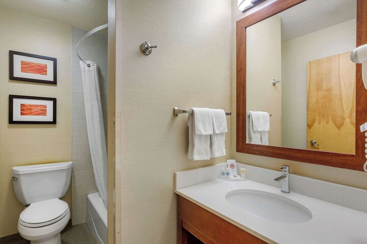 1 Queen Bed Accessible (7 of 24)