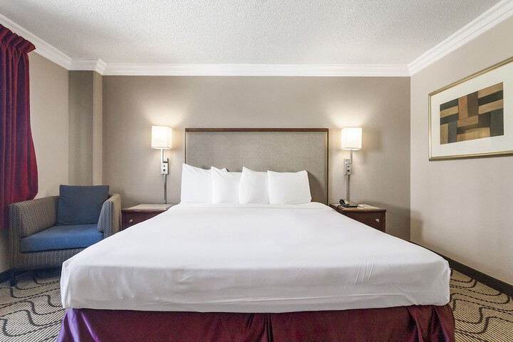 Standard King Bed Accessible (9 of 16)