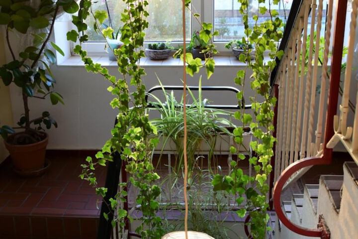 Terrace/Patio 22 of 49