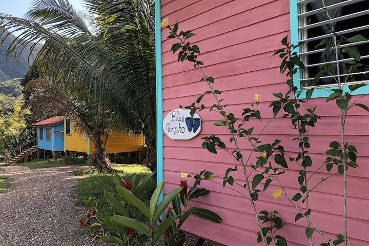 Room 4 of 54