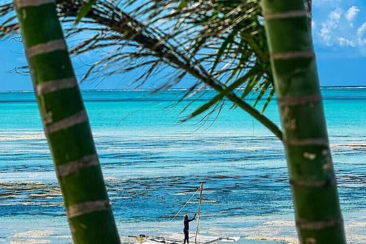 Beach 117 of 136