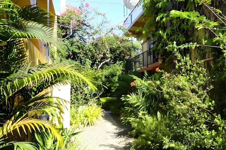 Photo 12