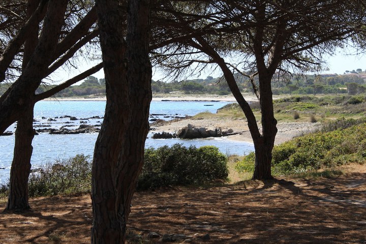 Beach 24 of 34