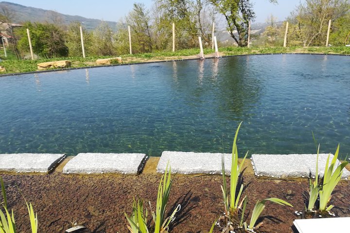 Pool 24 of 43