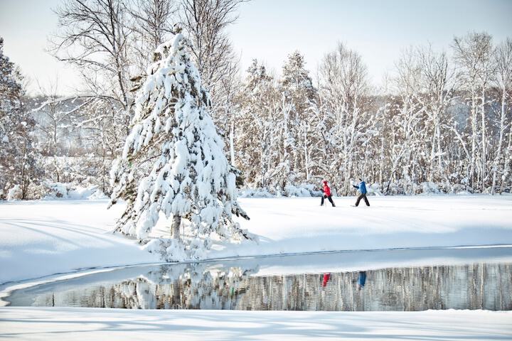 Snowshoeing