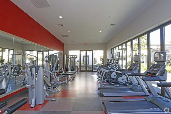 Health and Fitness 34 of 43