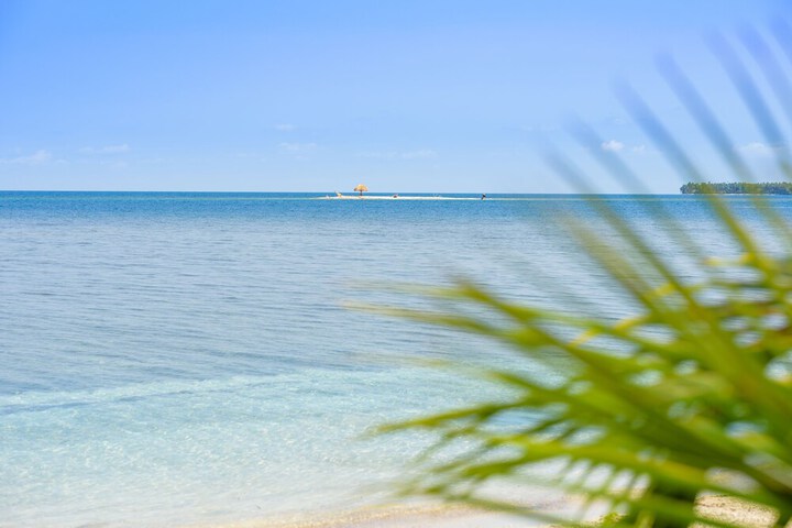 Beach 49 of 50