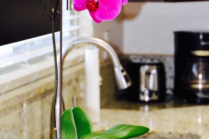 Breakfast/Coffee Service 51 of 69