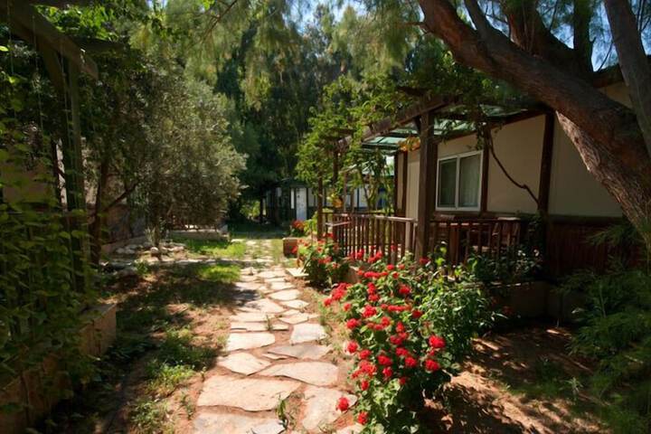 Property Grounds 28 of 65