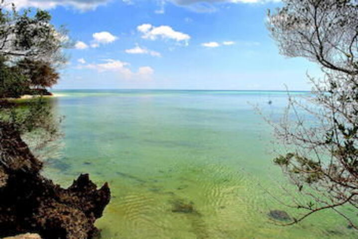 Beach 15 of 63