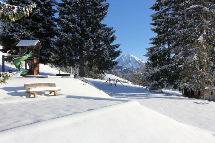 Leysin Lodge in Leysin