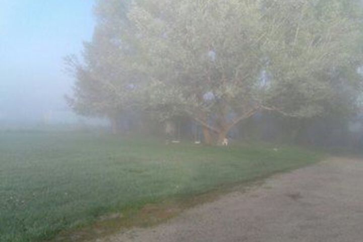 Property Grounds 12 of 12