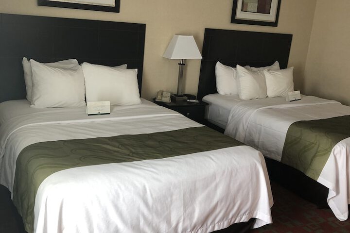 2 Queen Beds (4 of 16)