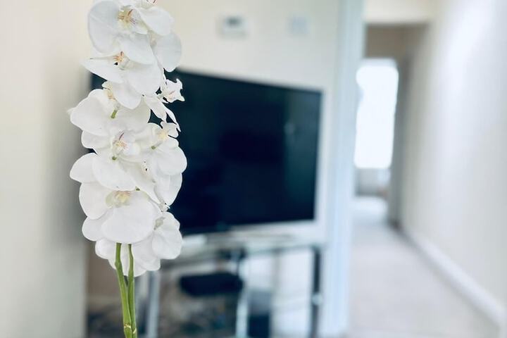 Room 20 of 27