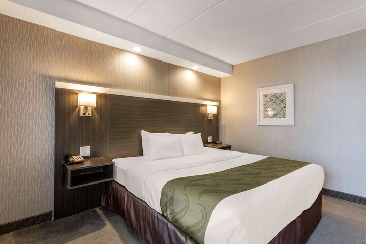 1 King Bed (6 of 11)