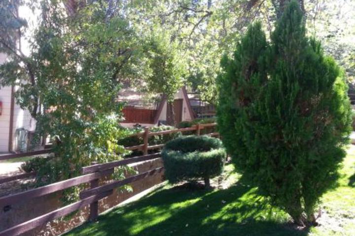 General 17 of 35