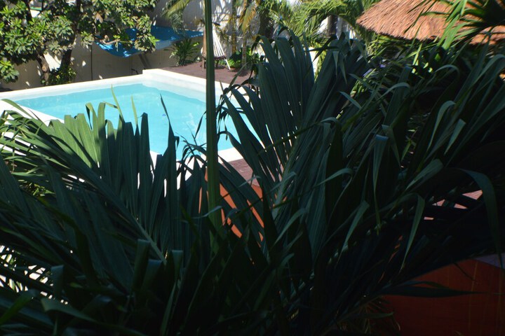 Hotel Exterior 49 of 50