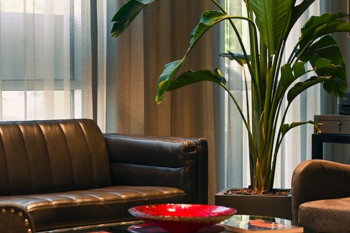 Hotel Interior 3 of 36