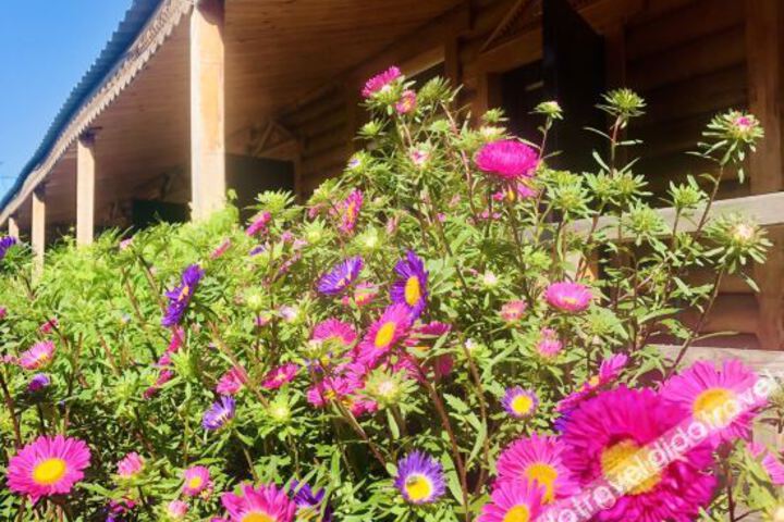 Erguna Duola Motel